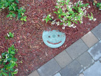 happy